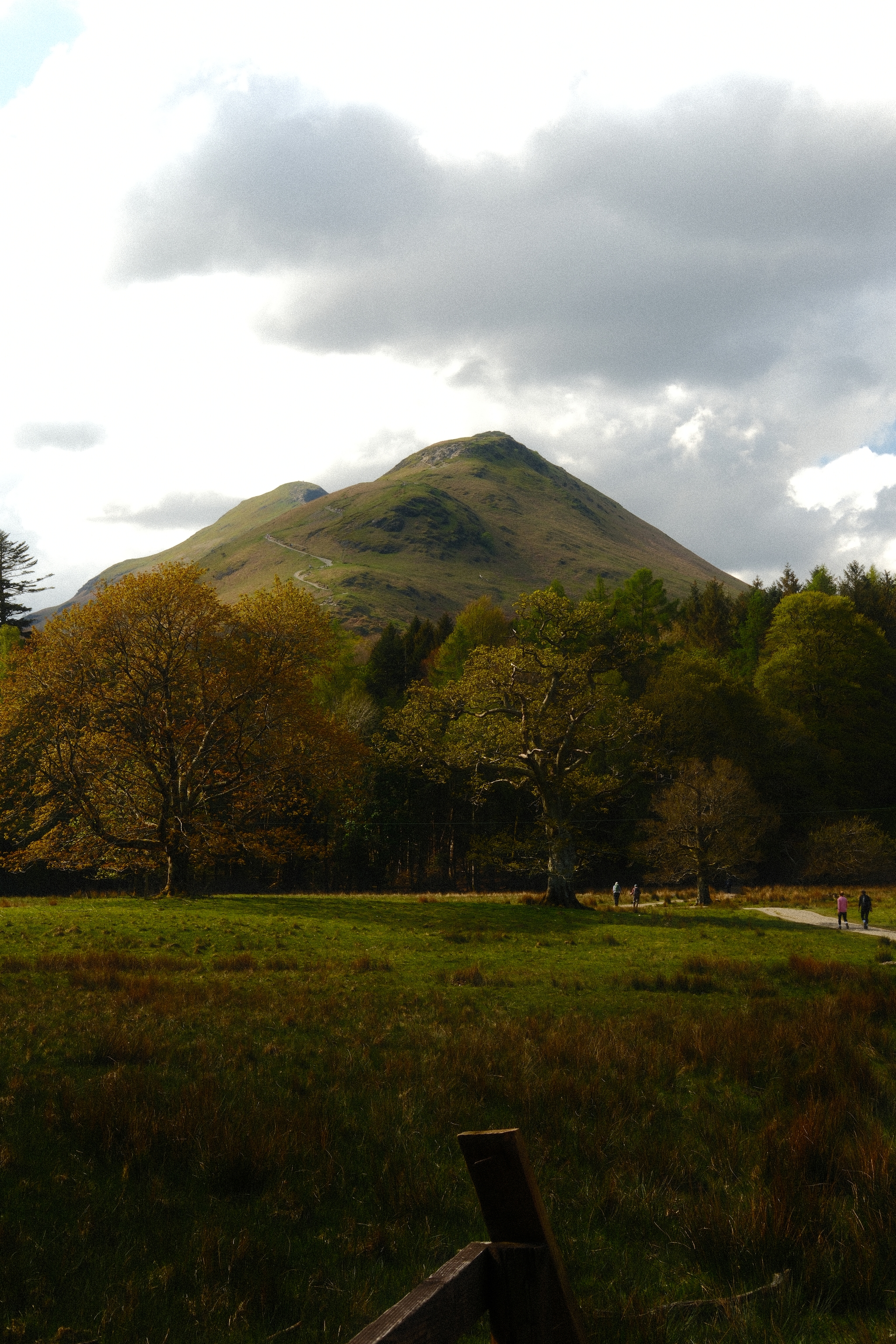 Catbells Summit