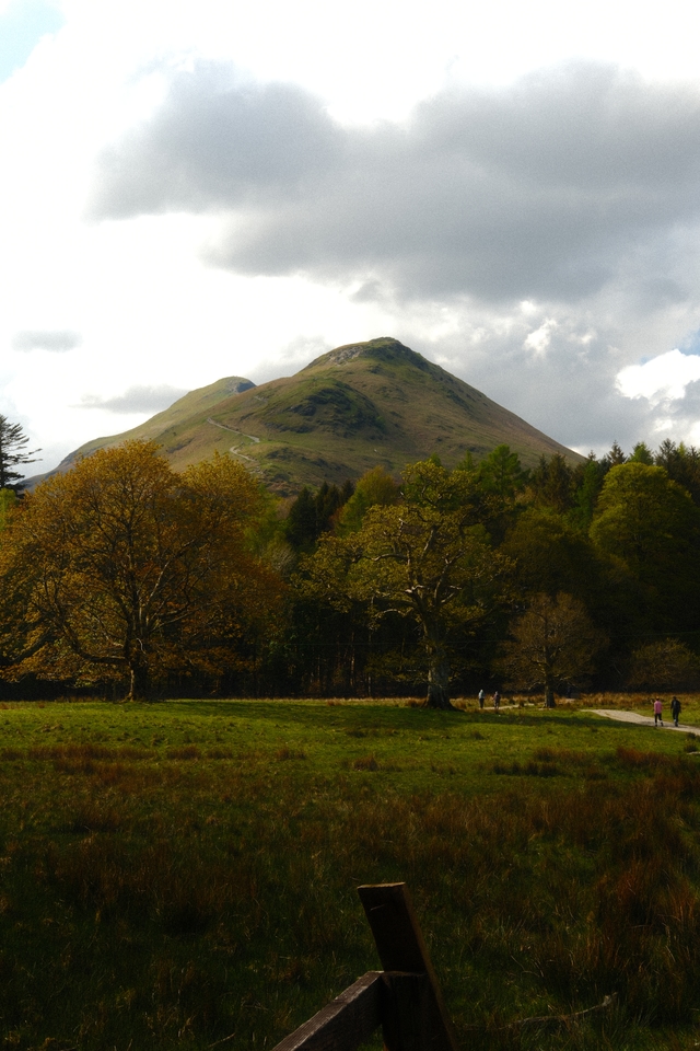 Catbells Summit