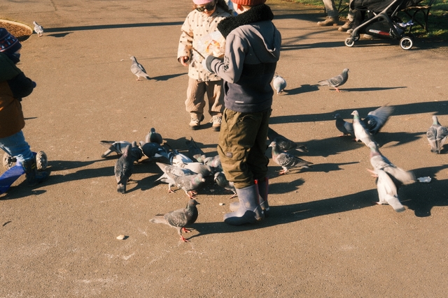 birds & boots 